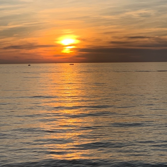 Meet your Posher, Victoria - Picture 3 of 3